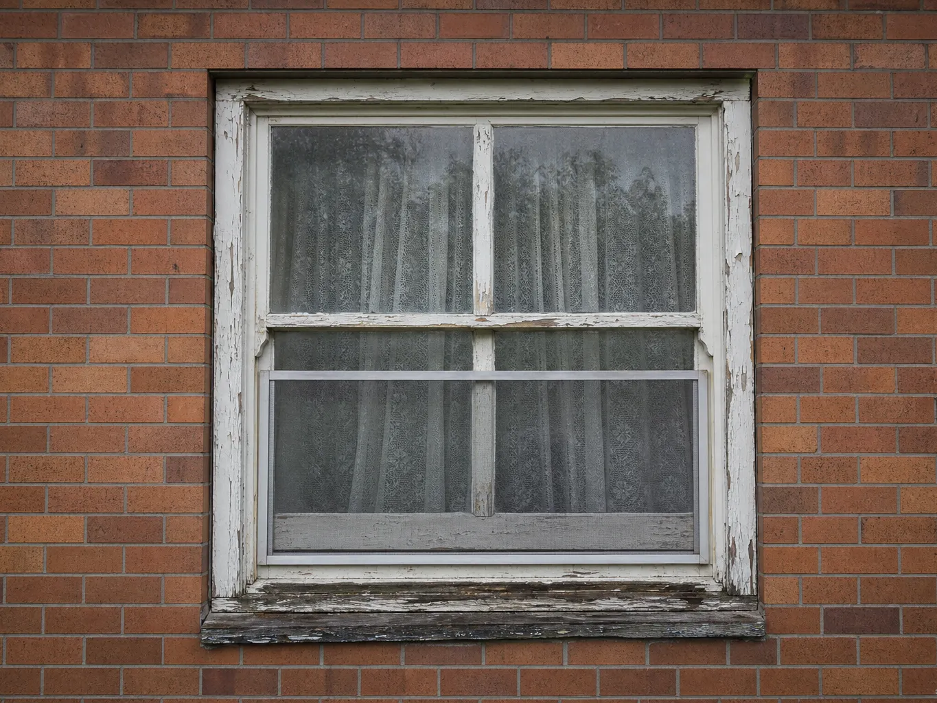 Old weathered timber window before replacement — draughty single glazing in a brick-veneer Melbourne home
